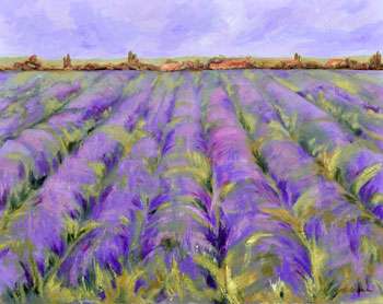 gallery/gal/Oils/1-Lavender-Fields-Oil.jpg