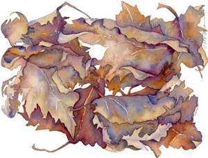 gallery/gal/Watercolors/Fall-Leaves-large.jpg