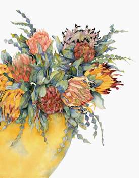 gallery/gal/Watercolors/Spring-Protea-large.jpg