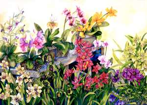 gallery/gal/Watercolors/orchid-large.jpg